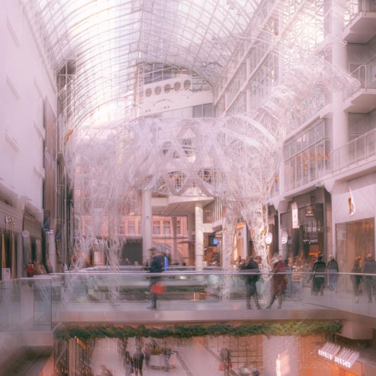 Dining out as an expat family in France